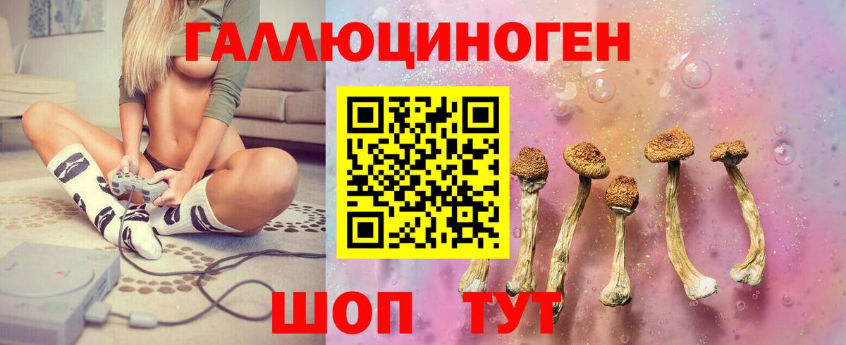 Псилоцибиновые грибы мицелий  Вход с VPN  Черногорск 